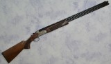 Pointer ~ Acrius ~ 20 Gauge - 1 of 9