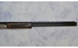 Pointer ~ Acrius ~ 20 Gauge - 4 of 9