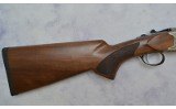 Pointer ~ Acrius ~ 20 Gauge - 2 of 9