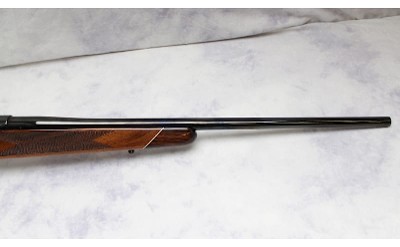 Colt Sauer ~ Sporting Rifle ~ .22-250 Remington - Image 4 of 9