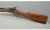Pedersoli Model 1874 Sporting Sharps
.45-70 Gov't - 7 of 7