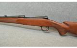 Winchester Model 70 Westerner
7mm Remington Mag - 4 of 7