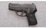 Sig Sauer Model P239
.40 S&W - 2 of 3