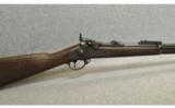 Springfield Arms Model 1884
.45-70 Government - 2 of 7
