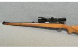 CZ Model 550 Mannlicher
.243 Winchester - 6 of 7