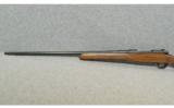 Winchester Model 70 Classic Sporter
.338 Winchester Magnum - 6 of 7