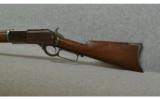 Winchester Model 1876 None - 7 of 7