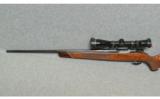 Colt Sauer Model Sporting Rifle .243 Winchester - 6 of 7