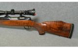 Colt Sauer Model Sporting Rifle .243 Winchester - 7 of 7