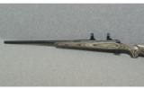 Winchester Model 70 .375 Holland & Holland - 6 of 7