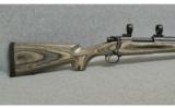Winchester Model 70 .375 Holland & Holland - 5 of 7