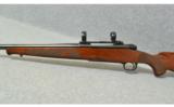 Winchester Model 70 7mm Remington Magnum - 4 of 7