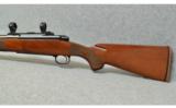 Winchester Model 70 7mm Remington Magnum - 7 of 7
