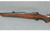 Winchester Model 70 .416 Remington Magnum - 4 of 7