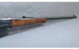Winchester 1895 30-40 - 6 of 7