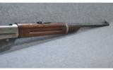 Winchester 1895 303 British - 6 of 7