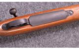 Remington 700 Safari Custom .459 Win Mag - 3 of 7