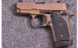 Sig Sauer ~ P238 ~ .380 ACP - 2 of 2
