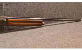 Browning - Auto-5 - 20 Ga - 4 of 9