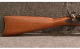 Pedersoli ~ U. S. Springfield 1873 Carbine ~ .45-70 Govt - 2 of 9