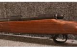 Winchester ~ 70 Featherweight 2008 LE ~ .270 Win - 8 of 9