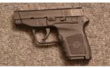 Smith & Wesson ~ M&P Bodyguard ~ .380 ACP - 2 of 2