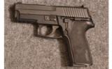 Sig Sauer ~ P229 ~ 9mm - 2 of 2