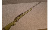Remington ~ 700 ~ .30-06 Sprg. - 1 of 3