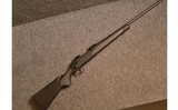 Remington ~ 700 SPS ~ .30-06 Sprg. - 1 of 10