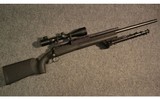 Savage Arms Model 10 in .308 Win - 1 of 16
