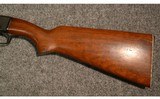 Remington ~ Fieldmaster 121 ~ .22 S, L, LR - 9 of 11