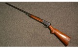 Winchester ~ Model 63 ~ .22 LR - 11 of 11