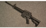 Bushmaster ~ XM15-E2S ~ 5.56 NATO - 11 of 14