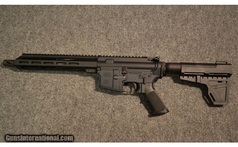 Palmetto State Armory ~ PA-15 ~ .300 AAC Blackout