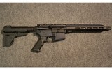 Palmetto State Armory ~ PA-15 ~ .300 AAC Blackout - 1 of 2