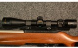 Ruger ~ Custom 10-22 ~ .17 HM2 - 13 of 15