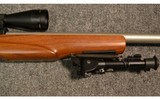 Ruger ~ Custom 10-22 ~ .17 HM2 - 4 of 15