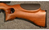 Ruger ~ Custom 10-22 ~ .17 HM2 - 9 of 15