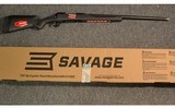 Savage ~ 110 ~ .300 WSM - 12 of 12