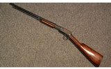 Winchester ~ 1906 ~ .22 short, long, long rifle - 11 of 11