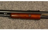 Winchester ~ 1906 ~ .22 short, long, long rifle - 6 of 11
