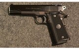 Para Ordnance ~ P14.45 ~ .45 ACP - 2 of 2
