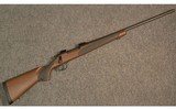 Remington ~ 700 SPS Wood Tech ~ .30-06 Sprg - 1 of 12