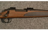 Remington ~ 700 SPS Wood Tech ~ .30-06 Sprg - 3 of 12