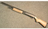 Browning ~ Custom BPS ~ 10 Gauge - 11 of 12
