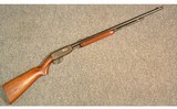 Winchester ~ Model 61 ~ .22 S, L, & LR - 1 of 11