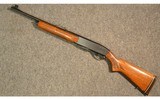 Remington ~ 742 Woodmaster ~ .30-06 Sprg - 11 of 11