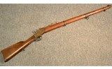 E. Remington & Sons ~ Argentino 1879 ~ Unmkd Cal - 1 of 14