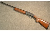 Remington ~ 11-96 ~ 12 Gauge - 11 of 11