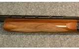 Perazzi ~ TM1 ~ 12 Gauge - 6 of 11